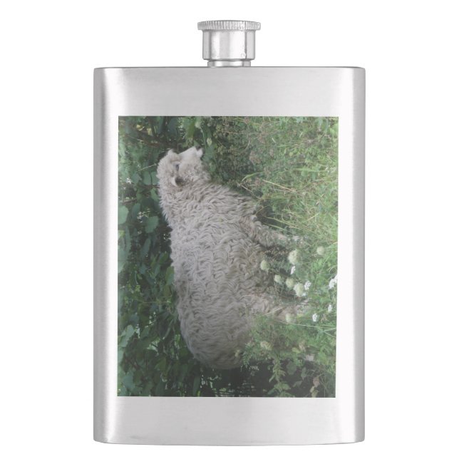 Cute Greedy Sheep Eating Flask (Front)