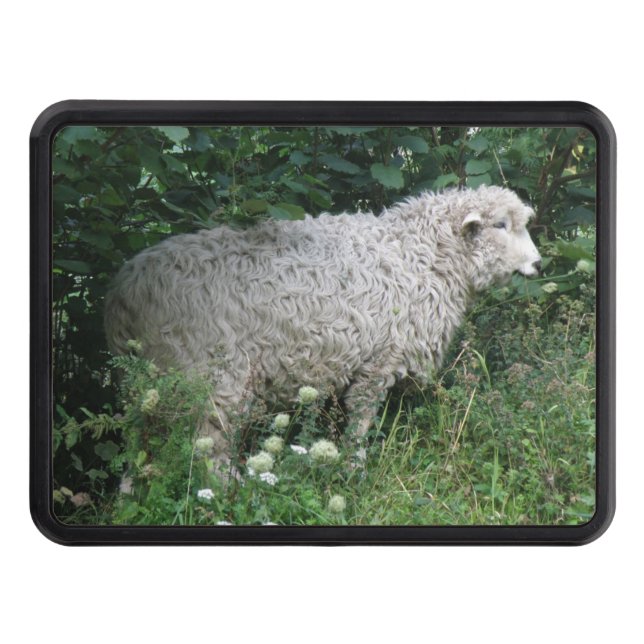 Cute Greedy Sheep Eating Hitch Cover (Front)