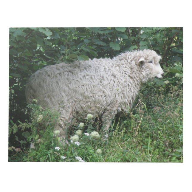 Cute Greedy Sheep Eating Notepad (Front)