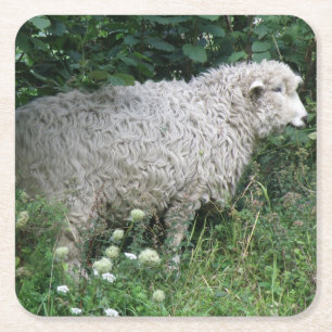 Cute Greedy Sheep Eating Paper Coasters