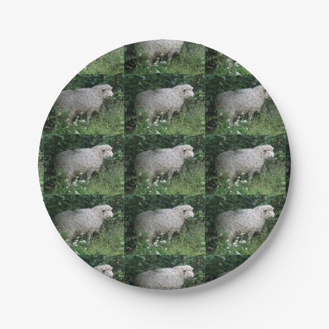 Cute Greedy Sheep Eating Paper Plate (Front)