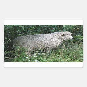 Cute Greedy Sheep Eating Sticker