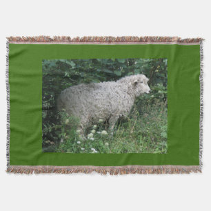 Cute Greedy Sheep Eating Throw Blanket