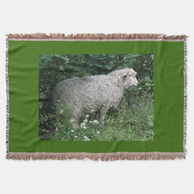 Cute Greedy Sheep Eating Throw Blanket (Front)