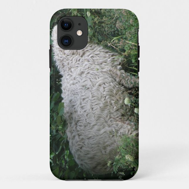 Cute Greedy Sheep iPhone Case (Back)