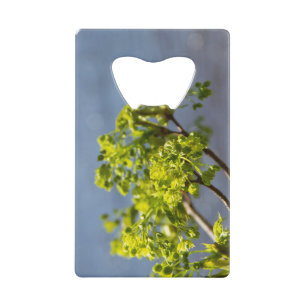 Cute green branch in the wind credit card bottle opener