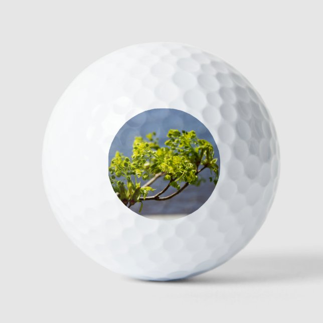 Cute green branch in the wind golf balls (Front)