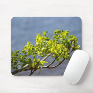 Cute green branch in the wind mouse pad