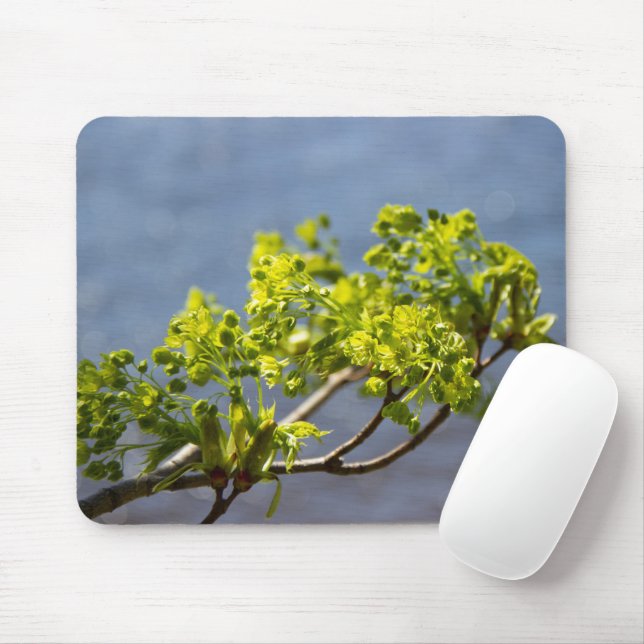 Cute green branch in the wind  mouse pad (With Mouse)