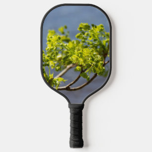 Cute green branch in the wind pickleball paddle
