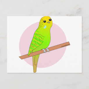 Cute Green Budgie Postcard