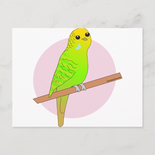 Cute Green Budgie Postcard (Front)