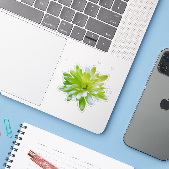 Cute green floral green flower green daisy (Laptop w/ iPhone)