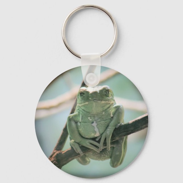 Cute Green Frog Sitting on a Branch Keychain (Front)