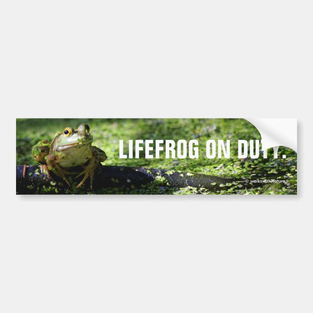 Cute Green Frog Strikes a Pose on the Hose Bumper Sticker (Front)
