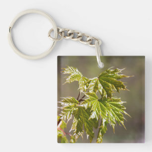 Cute green maple branch with small leaves keychain