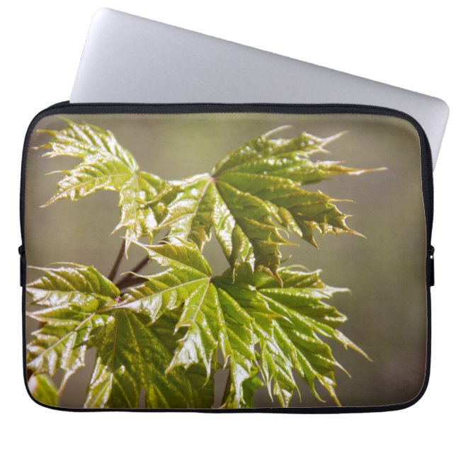 Cute green maple branch with small leaves laptop sleeve (Front)
