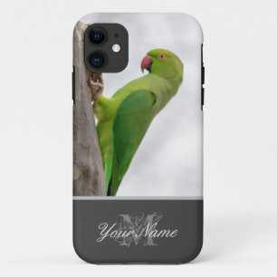 Cute green parrot looking into the camera! iPhone 11 case
