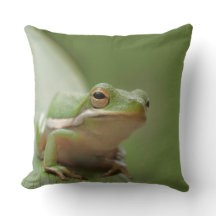 Cute Green Tree Frog Decorative Wildlife