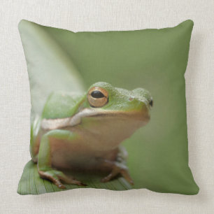 Cute Green Tree Frog Decorative Wildlife Throw Pillow