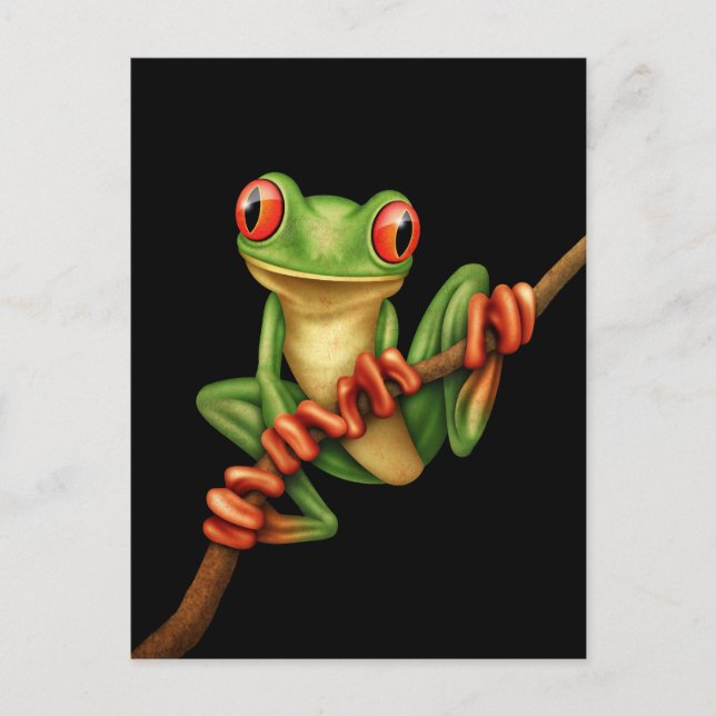 Cute Green Tree Frog on a Branch on Black Postcard (Front)