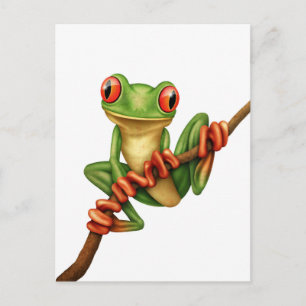 Cute Green Tree Frog on a Branch on White Postcard