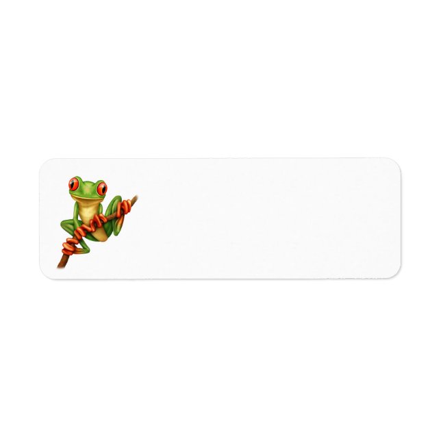 Cute Grenouille verte sur une branche (Devant)