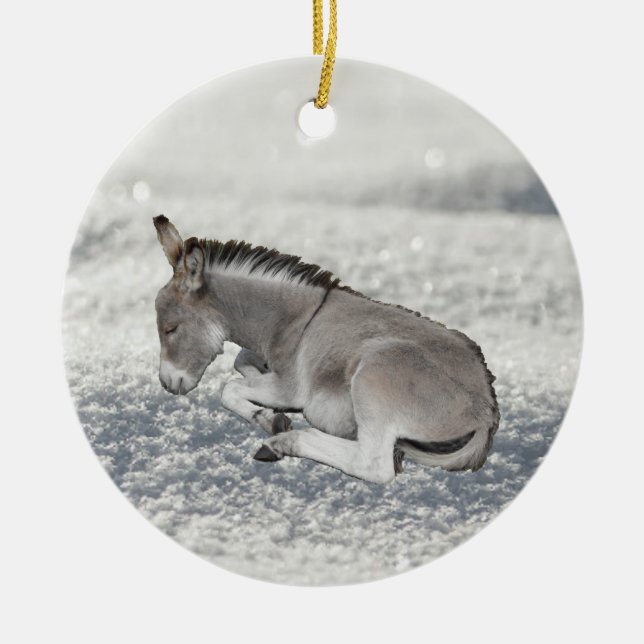 Cute Grey Baby Donkey Foal in Snow Ceramic Ornament (Front)