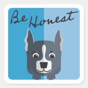Cute Grey Boxer Puppy Blue Be Honest  Square Sticker