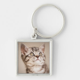 Cute Grey British Short Hair Kitten (Blue Tabby) Keychain