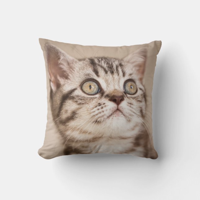 Cute Grey British Short Hair Kitten (Blue Tabby) Throw Pillow (Front)