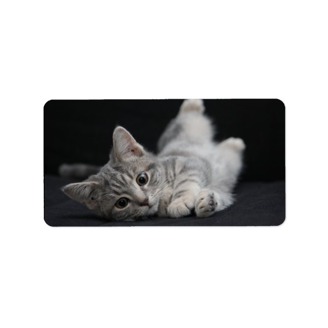 Cute Grey Cat Label (Front)