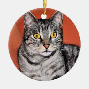 Cute Grey Cat Portrait Ceramic Ornament