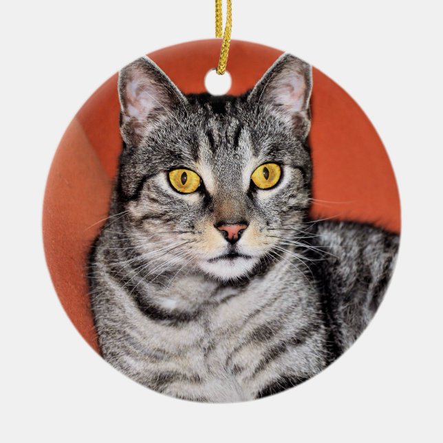 Cute Grey Cat Portrait Ceramic Ornament (Front)