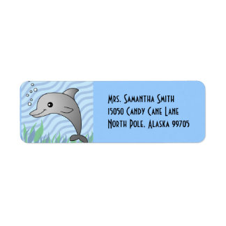 Cute Grey Dolphin in Blue Water