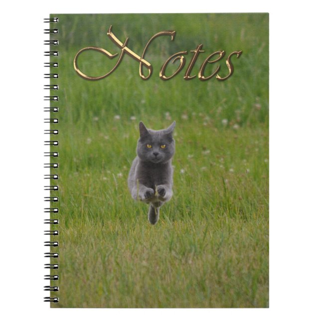 Cute Grey Farm Cat Racing Across Green Grass Photo Notebook (Front)