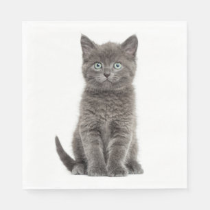 Cute Grey Kitten Grey Kitty Cat Party Napkin
