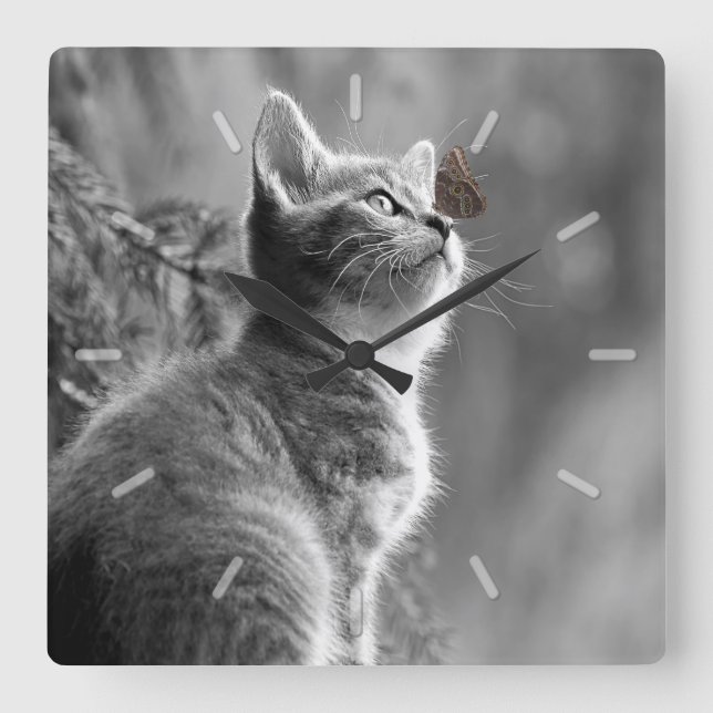Cute Grey Kitten with Butterfly on Nose Square Wall Clock (Front)
