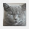 Cute Grey Kitty Face Photo Magnet