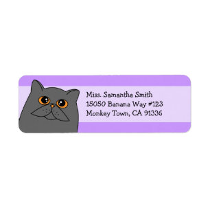 Cute Grey Persian Cat Return Address Labels
