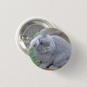 Cute grey rabbit 1 inch round button