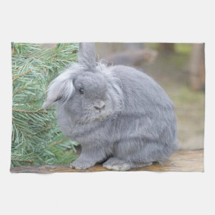 Cute grey rabbit   kitchen towel