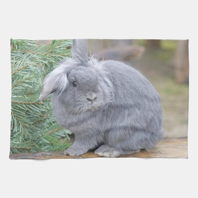 Cute grey rabbit   kitchen towel (Horizontal)
