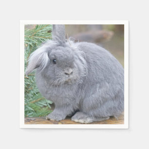 Cute grey rabbit napkin