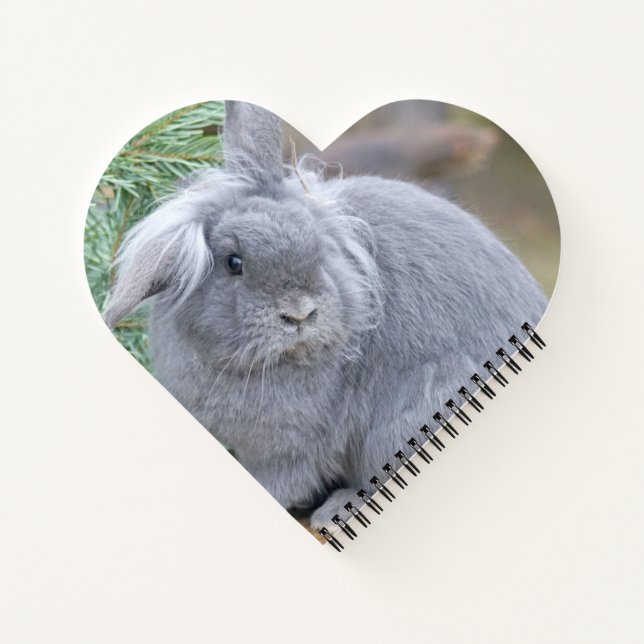 Cute grey rabbit   notebook (Back)