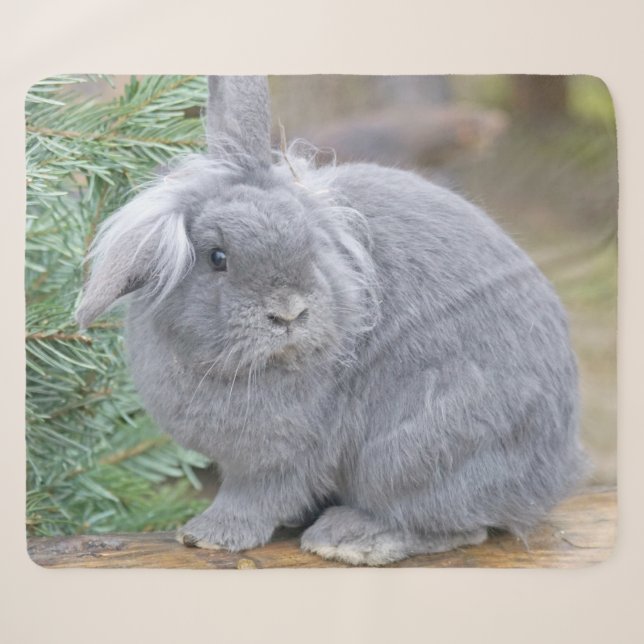 Cute grey rabbit     sherpa blanket (Front (Horizontal))
