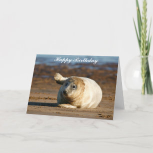 Cute Grey Seal Pup - Bonne carte de voeux d'annive