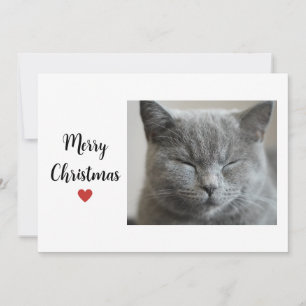 Cute Grey Sleepy Cat Chritsmas Holiday Love Card