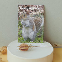 Cute Grey Squirrel Funny Birthday