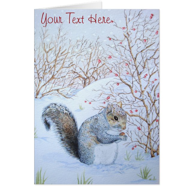cute grey squirrel snow scene wildlife (Front)